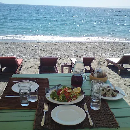 فندق Alexandrion