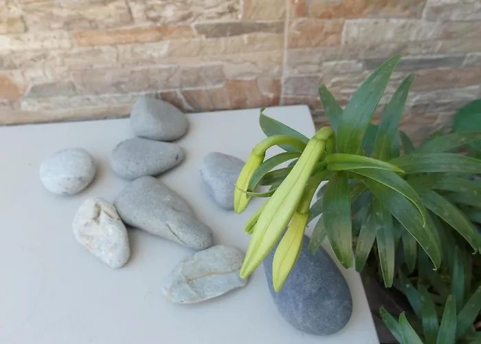 Alexandrion * Каламата